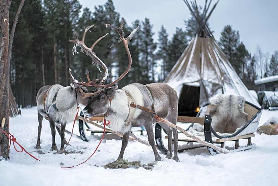 Aurora Village Ivalo