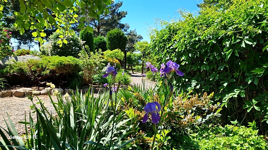 Dom Na Bukowym Wzgórzu