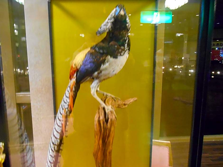 kinugawaonsen Fukumatsu