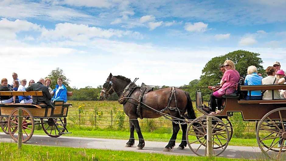 Muckross Park Hotel & Spa