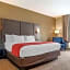 Comfort Inn & Suites Millbrook - Pratville
