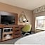 Hampton Inn By Hilton & Suites Arlington Crystal City DCA