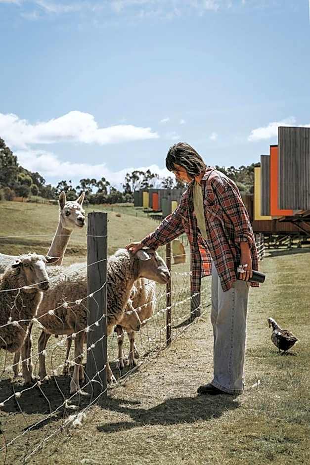 Iron Creek Bay Estate