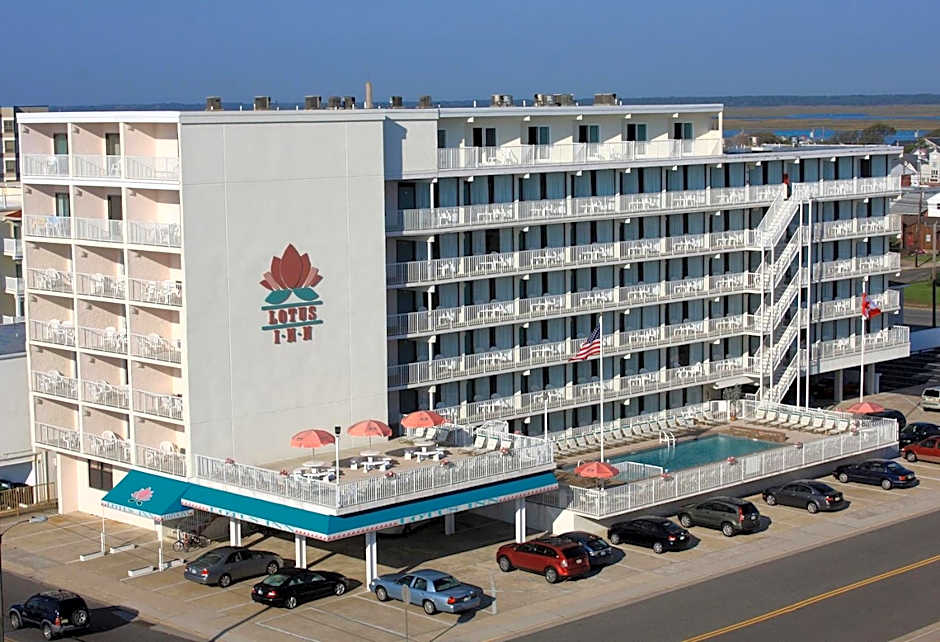 Lotus Inn