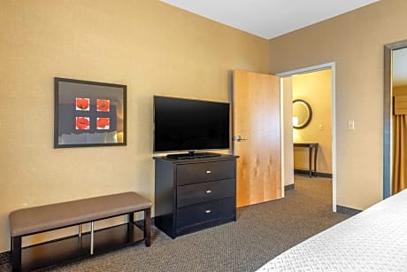 1 King Bed, Suite, Nonsmoking, Accessible