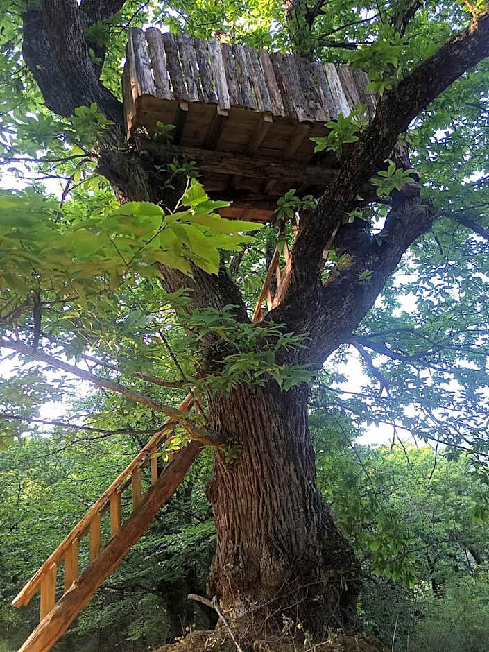 La ferme des Cévennes