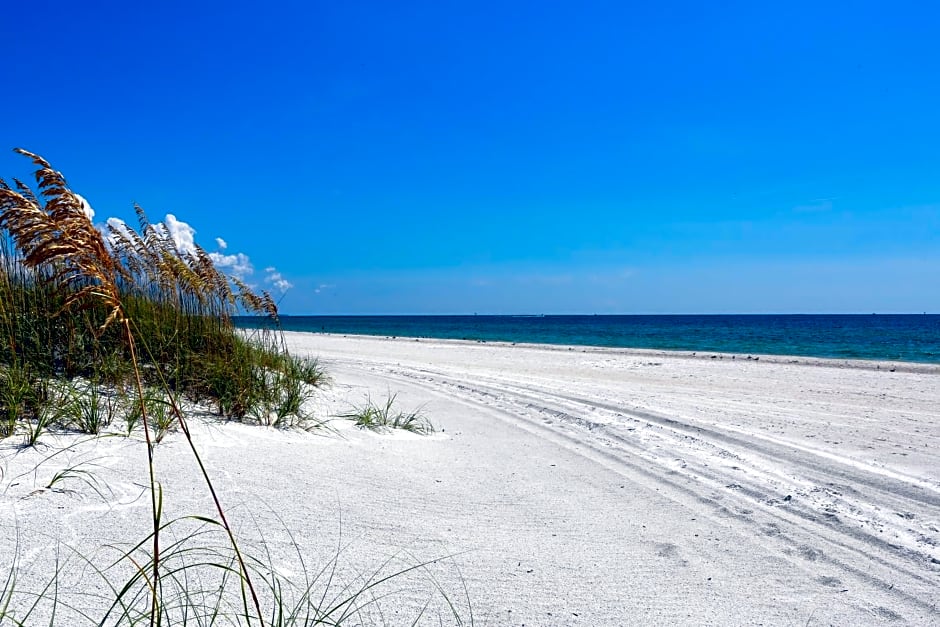 Barefoot Beach Club