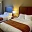 Comfort Inn & Suites Midtown
