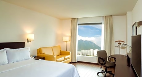 Excutive Room, 1 King