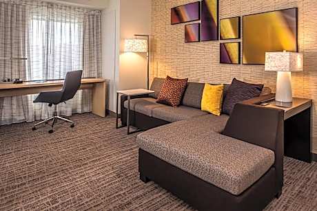 Suite, 1 Bedroom (1 King Bed and 1 Double Sofa Bed)