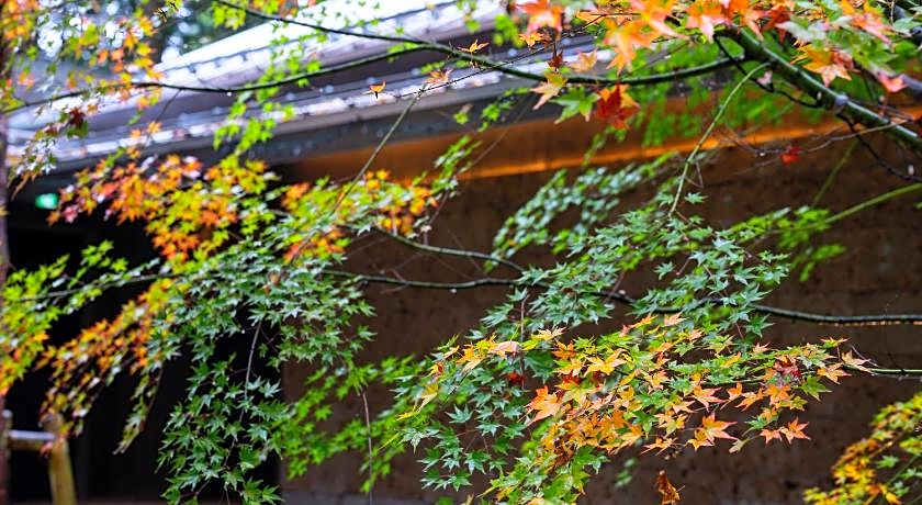 Nikko nishimachi club a la tout