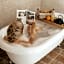 Le Clos Des Anges