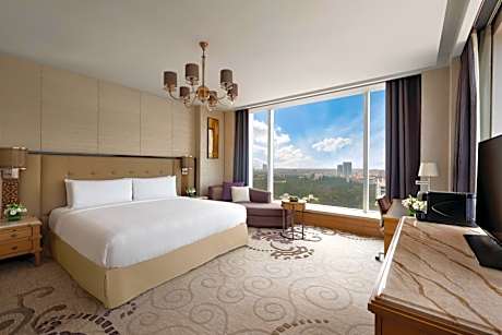 Panaroma View King Room