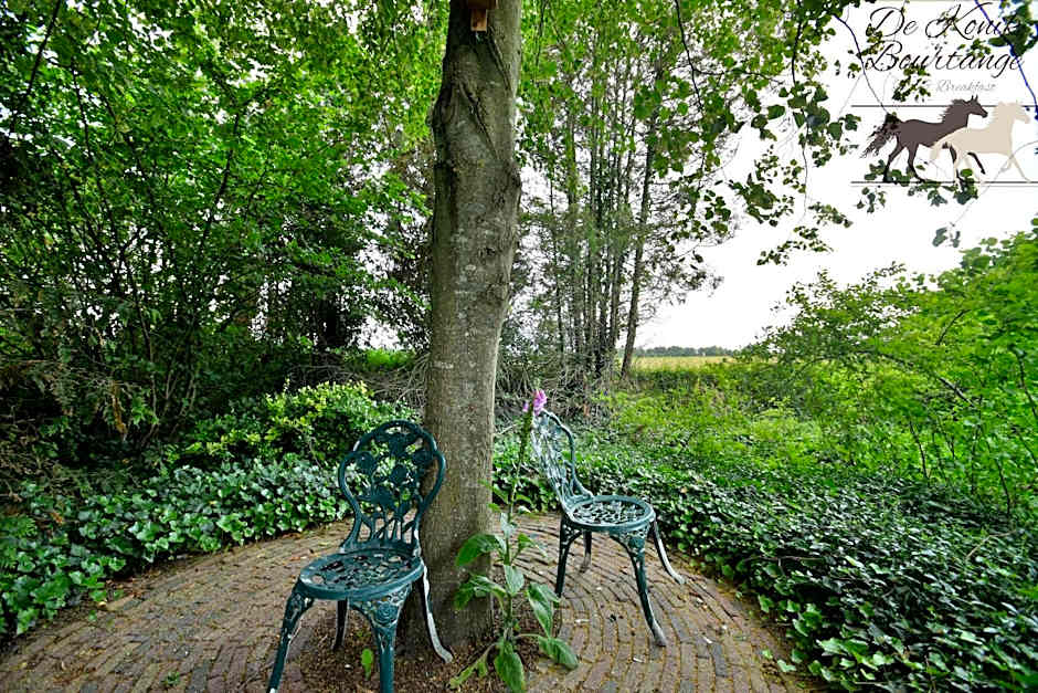 B&B De Konik Bourtange