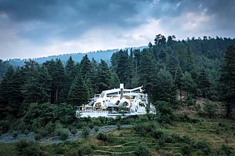 Tree of Life Eila Art Hotel, Manali