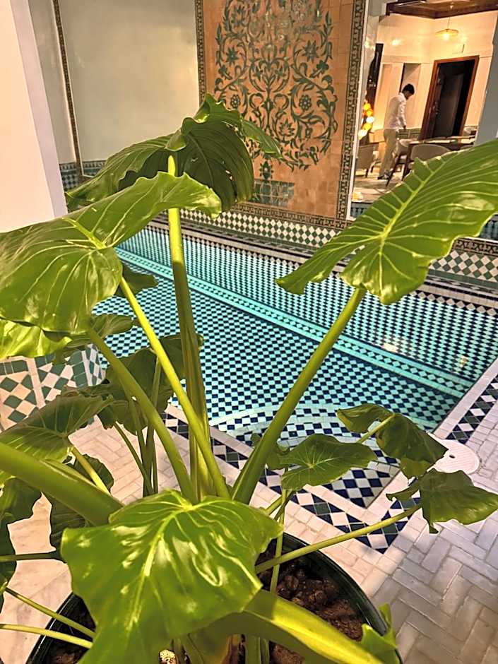 Riad Atlas Acacia