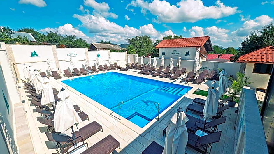 Complex Parc Pini Moinesti