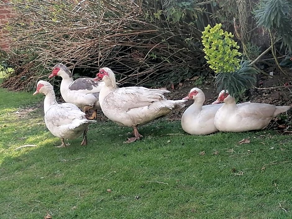 Clumber Lane End Farm