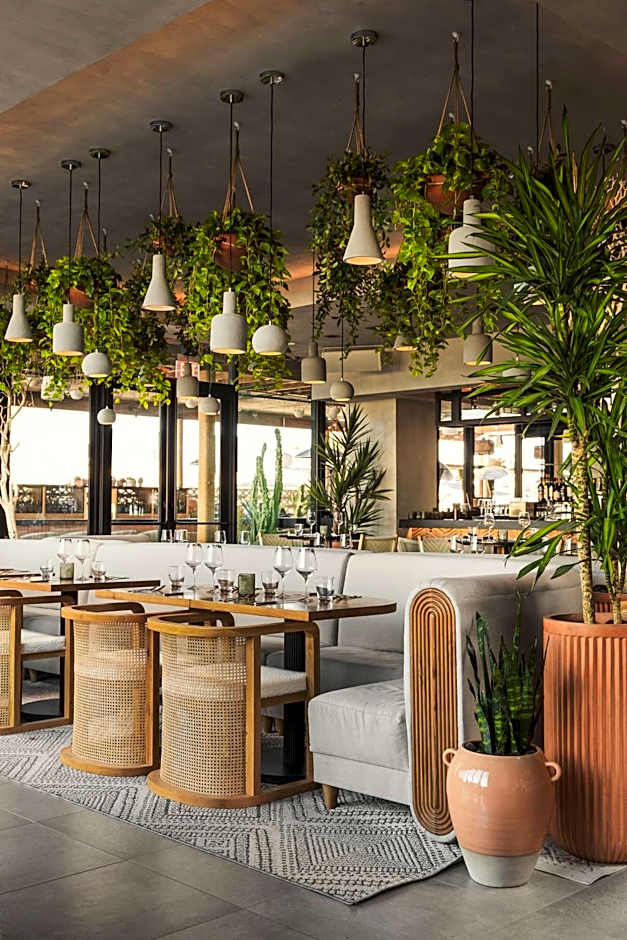 Senna House Scottsdale, Curio Collection by Hilton