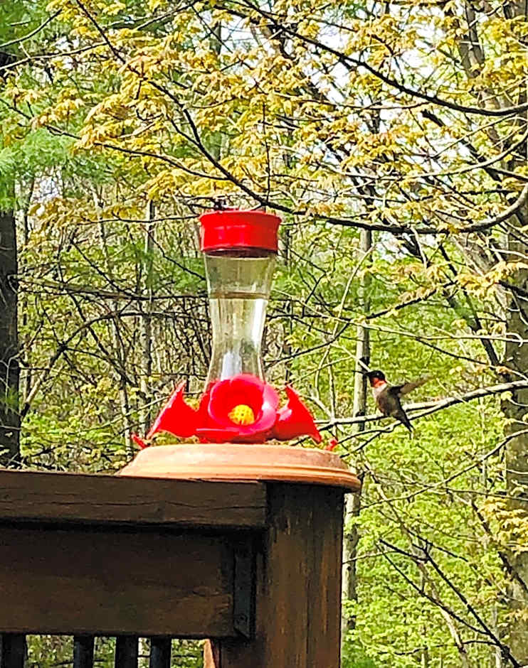 Au Gré Du Temps - Gîte B&B