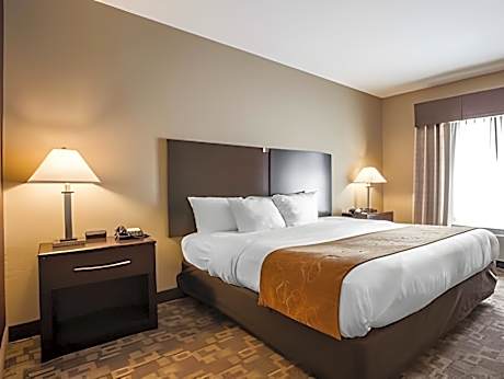 1 King Bed, Suite, Nonsmoking