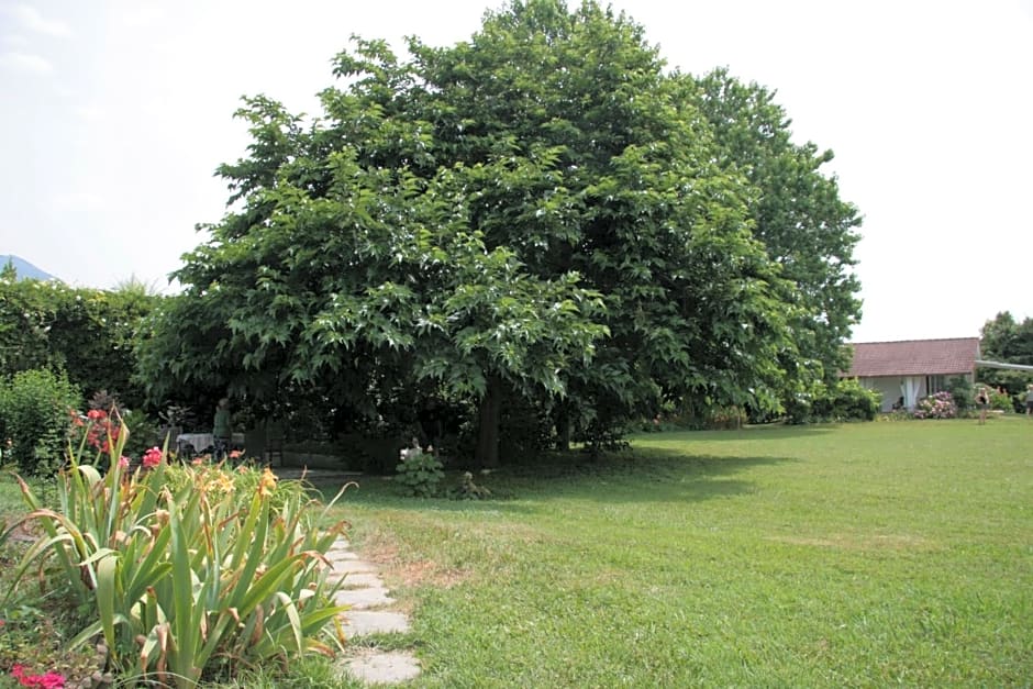 PIETRASANTA - VERSILIA - Villa Arzilla Garden con piscina