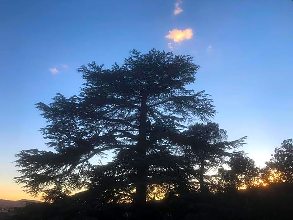 Les Horizons - SPA-JACUZZI - MASSAGE- SAUNA - 4 SAISONS - Piscine chauffée Toute l'année - 800m centre ville Nyons