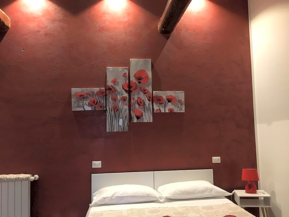 il leccio