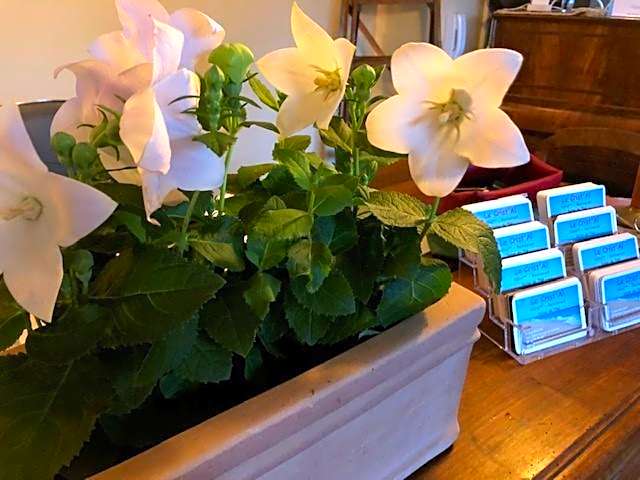 Le Crist'Al, hôtel climatisé, front de mer, proche du centre ville, et solution de restauration