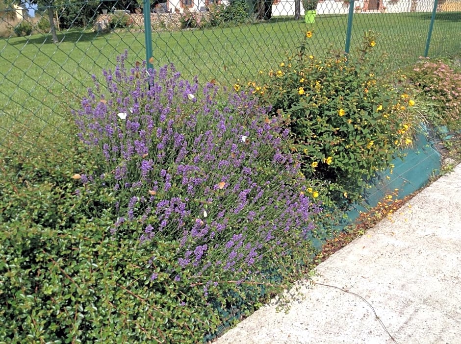 Chambre d'hôte du HOUSSAY à VALENNES 72320