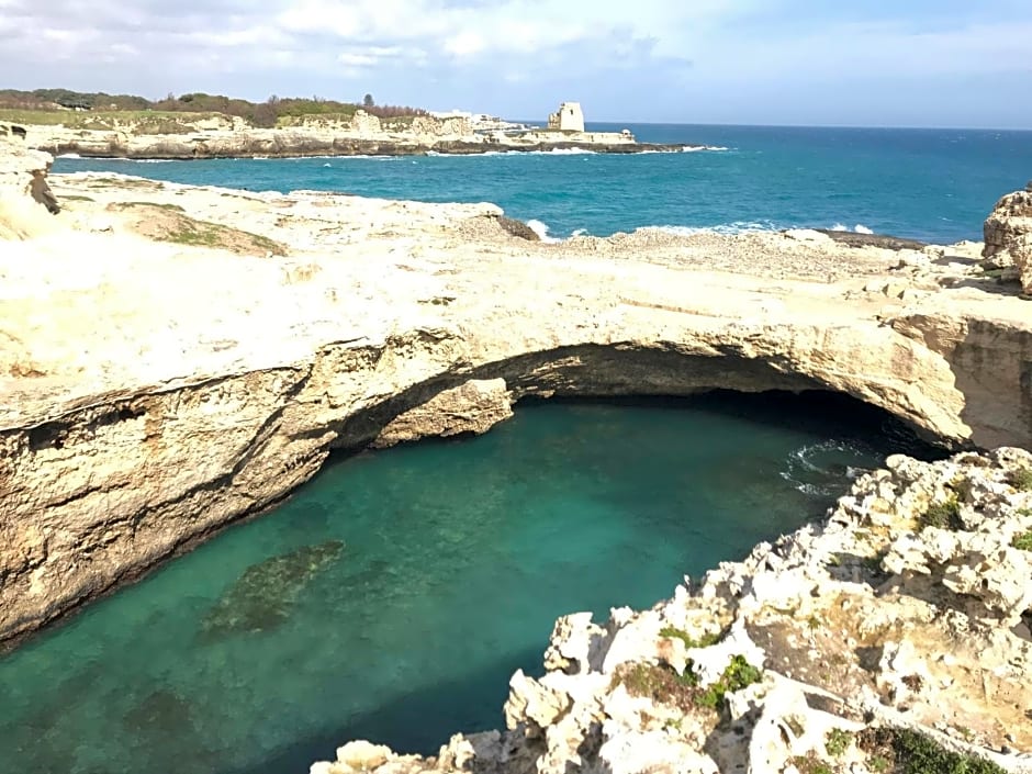 Piccolo Ulivo B&B Salento