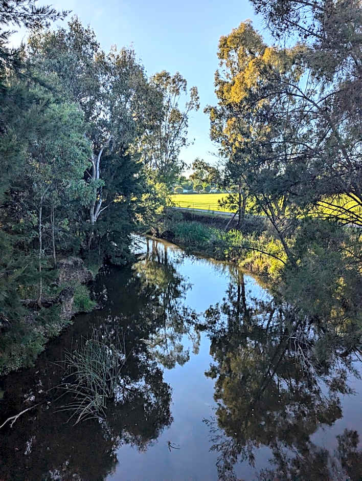 The Cudgee at Mudgee