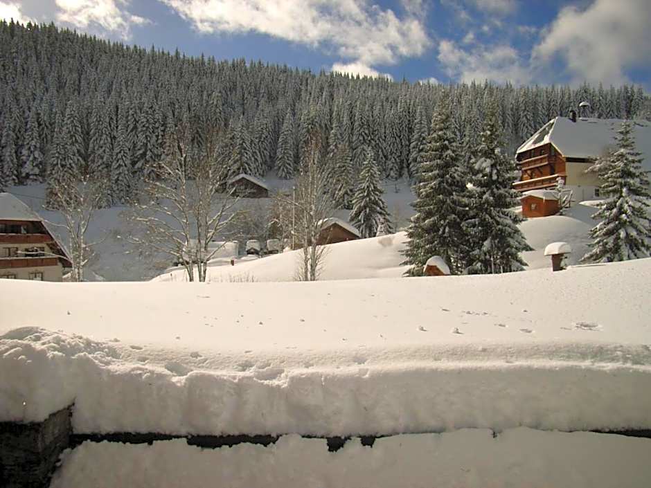 Schwarzwald-Hotel Kraeutle
