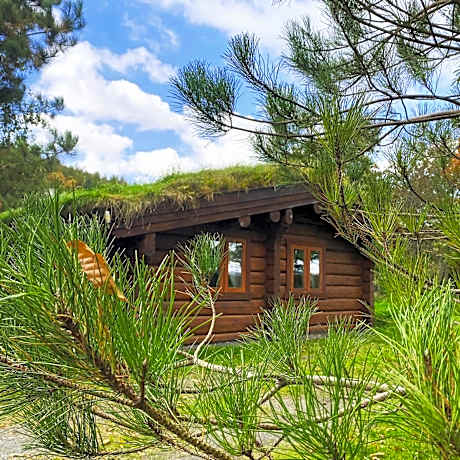Log home village
