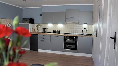 Two-Bedroom Family Apartment