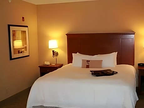 1 King Bed Nonsmoking