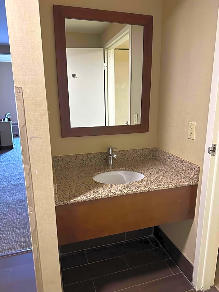 Vista Suites Pigeon Forge, SureStay Collection by BW