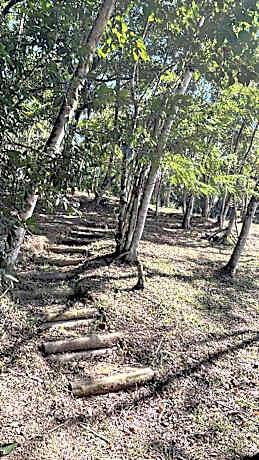 Vila Dravida Petar