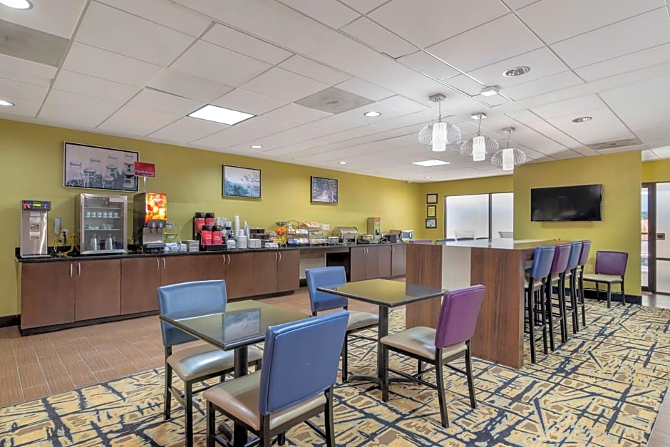 Best Western Plus McDonough Inn & Suites