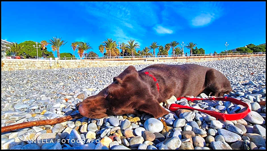 Le Petit Trianon et le Charme des Suites
