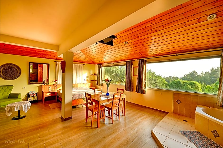 Bloom's Studio הסטודיו של בלום