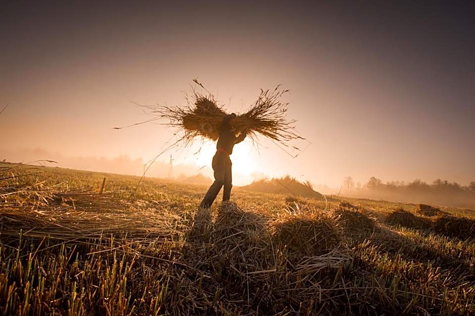 Giethoorn Old Art Hotel