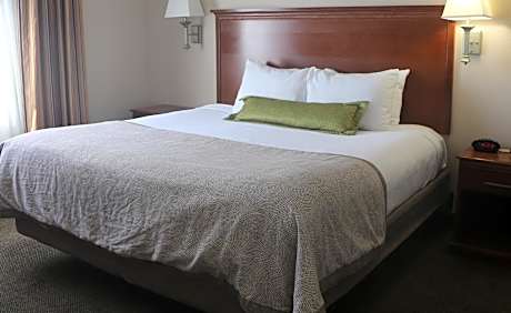 One-Bedroom King Suite