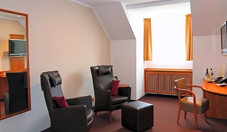 Large Comfort Plus Double Room with Air-Conditioning