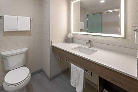 One-Bedroom King Suite