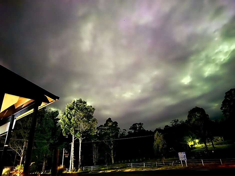 Cradle forest inn