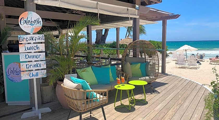 Bougainvillea Barbados
