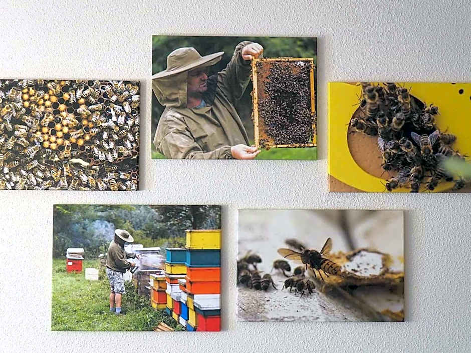 Novotel Suites Wien City Donau Hotel