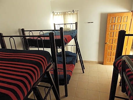 Bed in 6-Bed Mixed Dormitory Room