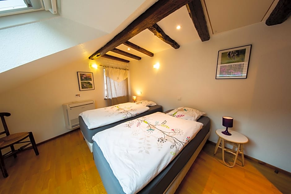 Le Domaine du Verger gîtes et SPA